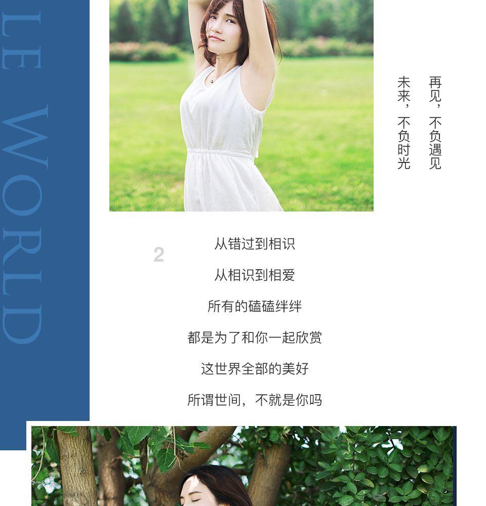 滚动的奶酪
